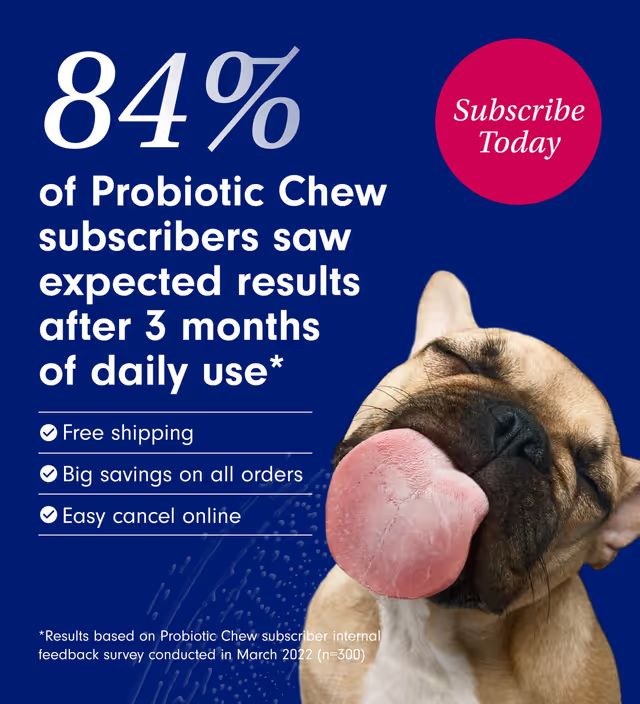 Probiotic Chew +